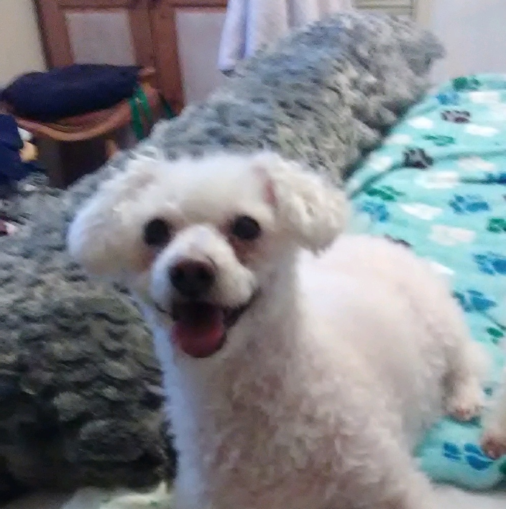 Meet your Posher, Tara